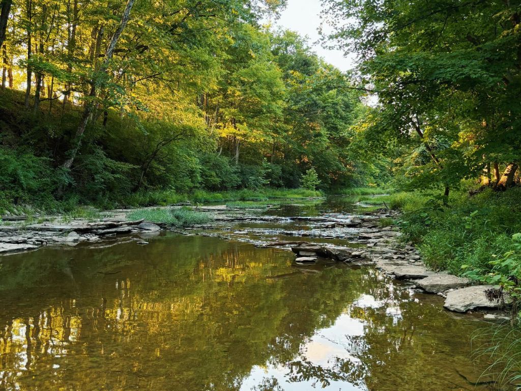 Cincinnati Nature Center