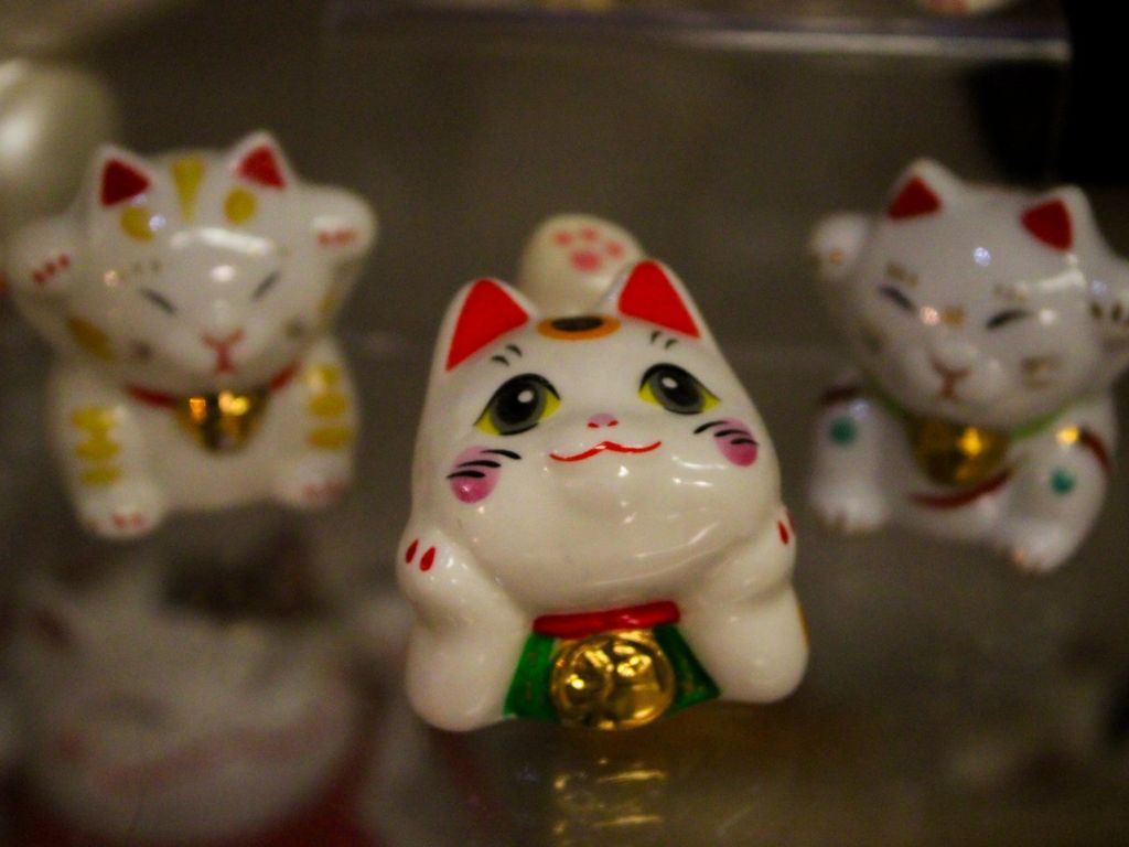 Lucky Cat Museum