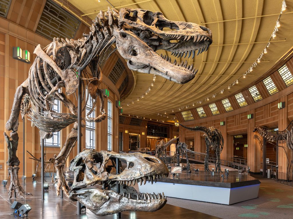 The Museum of Natural History & Science