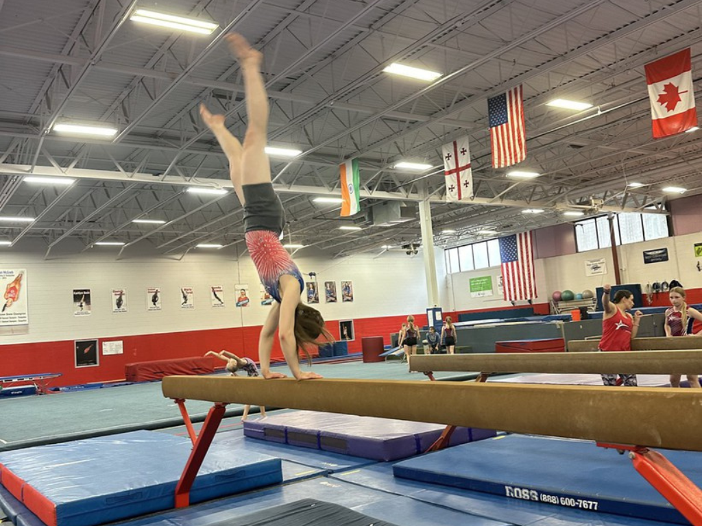 Gymnastics Central 2